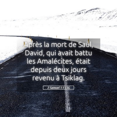 Picture 05 - 2 Samuel 1:1 LSG - Après la mort de Saül, David, qui avait battu - Bible Verse Picture