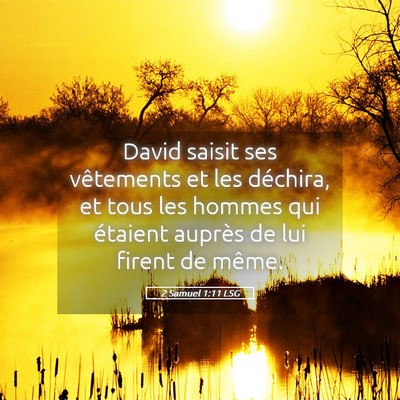 Picture 05 - 2 Samuel 1:11 LSG - David saisit ses vêtements et les déchira, et - Bible Verse Picture
