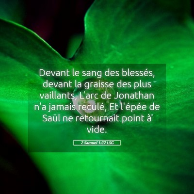 Picture 05 - 2 Samuel 1:22 LSG - Devant le sang des blessés, devant la graisse - Bible Verse Picture