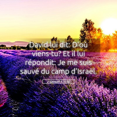 Picture 05 - 2 Samuel 1:3 LSG - David lui dit: D'où viens-tu? Et il lui - Bible Verse Picture