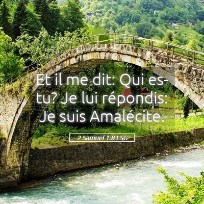 Picture 05 - 2 Samuel 1:8 LSG - Et il me dit: Qui es-tu? Je lui répondis: Je - Bible Verse Picture