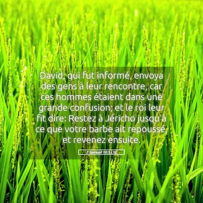 Picture 05 - 2 Samuel 10:5 LSG - David, qui fut informé, envoya des gens à leur - Bible Verse Picture