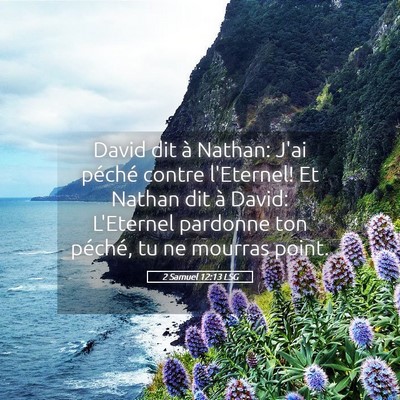 Picture 05 - 2 Samuel 12:13 LSG - David dit à Nathan: J'ai péché contre - Bible Verse Picture