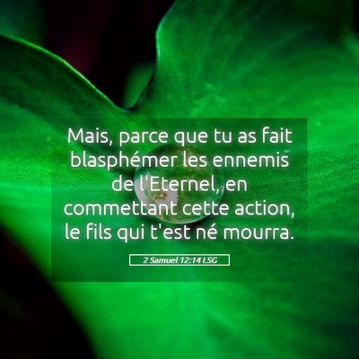 Picture 05 - 2 Samuel 12:14 LSG - Mais, parce que tu as fait blasphémer les - Bible Verse Picture