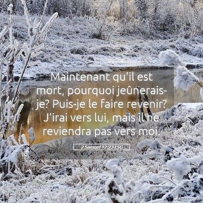 Picture 05 - 2 Samuel 12:23 LSG - Maintenant qu'il est mort, pourquoi - Bible Verse Picture