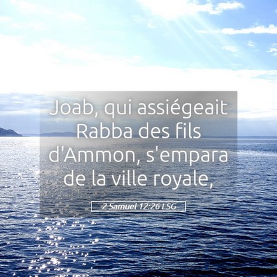 Picture 05 - 2 Samuel 12:26 LSG - Joab, qui assiégeait Rabba des fils d'Ammon, - Bible Verse Picture