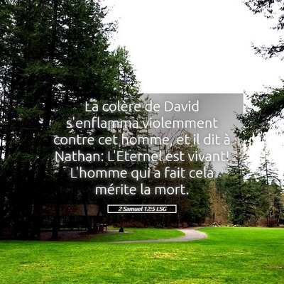 Picture 05 - 2 Samuel 12:5 LSG - La colère de David s'enflamma violemment contre - Bible Verse Picture