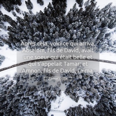 Picture 05 - 2 Samuel 13:1 LSG - Après cela, voici ce qui arriva. Absalom, fils - Bible Verse Picture