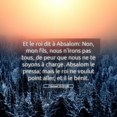 Picture 05 - 2 Samuel 13:25 LSG - Et le roi dit à Absalom: Non, mon fils, nous - Bible Verse Picture