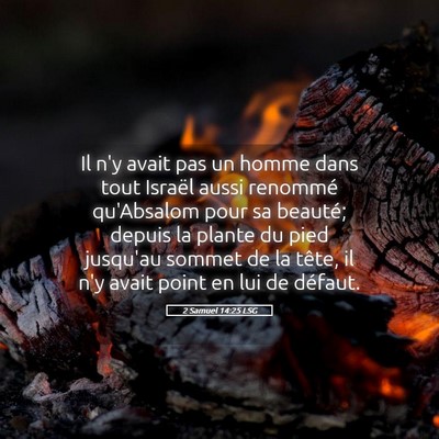 Picture 05 - 2 Samuel 14:25 LSG - Il n'y avait pas un homme dans tout Israël aussi - Bible Verse Picture