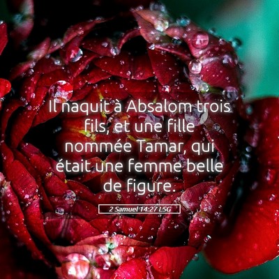 Picture 05 - 2 Samuel 14:27 LSG - Il naquit à Absalom trois fils, et une fille - Bible Verse Picture