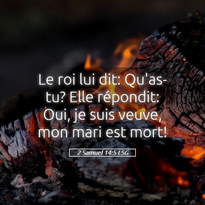 Picture 05 - 2 Samuel 14:5 LSG - Le roi lui dit: Qu'as-tu? Elle répondit: Oui, je - Bible Verse Picture