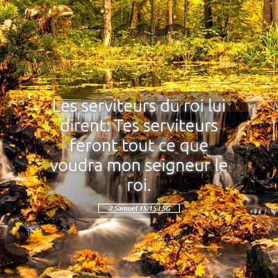 Picture 05 - 2 Samuel 15:15 LSG - Les serviteurs du roi lui dirent: Tes serviteurs - Bible Verse Picture