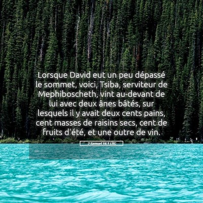 Picture 05 - 2 Samuel 16:1 LSG - Lorsque David eut un peu dépassé le sommet, - Bible Verse Picture