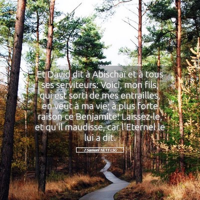 Picture 05 - 2 Samuel 16:11 LSG - Et David dit à Abischaï et à tous ses - Bible Verse Picture