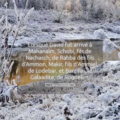 Picture 05 - 2 Samuel 17:27 LSG - Lorsque David fut arrivé à Mahanaïm, Schobi, - Bible Verse Picture