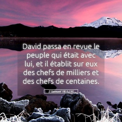 Picture 05 - 2 Samuel 18:1 LSG - David passa en revue le peuple qui était avec - Bible Verse Picture