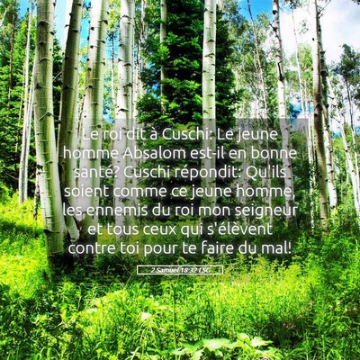 Picture 05 - 2 Samuel 18:32 LSG - Le roi dit à Cuschi: Le jeune homme Absalom - Bible Verse Picture