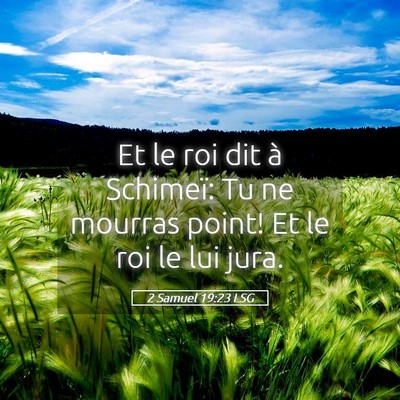 Picture 05 - 2 Samuel 19:23 LSG - Et le roi dit à Schimeï: Tu ne mourras point! - Bible Verse Picture
