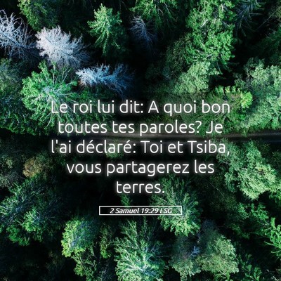 Picture 05 - 2 Samuel 19:29 LSG - Le roi lui dit: A quoi bon toutes tes paroles? Je - Bible Verse Picture