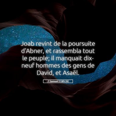 Picture 05 - 2 Samuel 2:30 LSG - Joab revint de la poursuite d'Abner, et rassembla - Bible Verse Picture