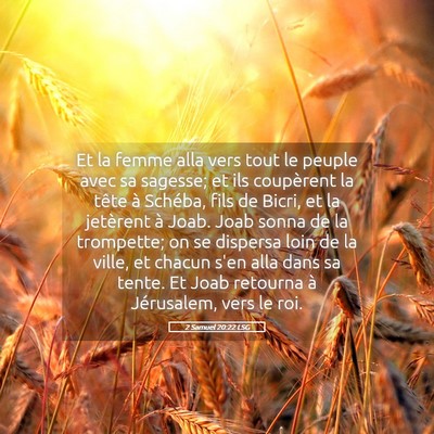 Picture 05 - 2 Samuel 20:22 LSG - Et la femme alla vers tout le peuple avec sa - Bible Verse Picture
