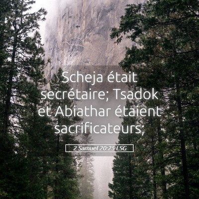 Picture 05 - 2 Samuel 20:25 LSG - Scheja était secrétaire; Tsadok et Abiathar - Bible Verse Picture