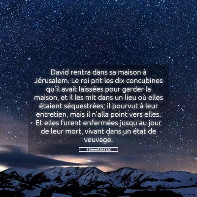 Picture 05 - 2 Samuel 20:3 LSG - David rentra dans sa maison à Jérusalem. Le roi - Bible Verse Picture