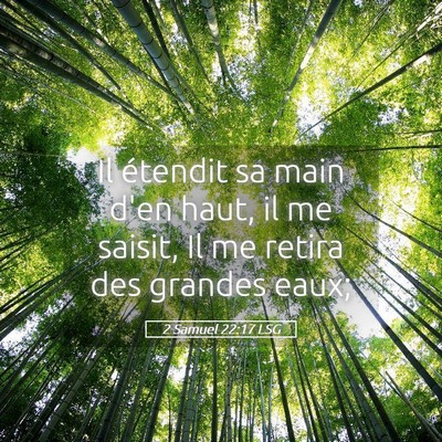 Picture 05 - 2 Samuel 22:17 LSG - Il étendit sa main d'en haut, il me saisit, Il - Bible Verse Picture