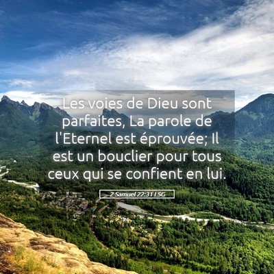 Picture 05 - 2 Samuel 22:31 LSG - Les voies de Dieu sont parfaites, La parole de - Bible Verse Picture