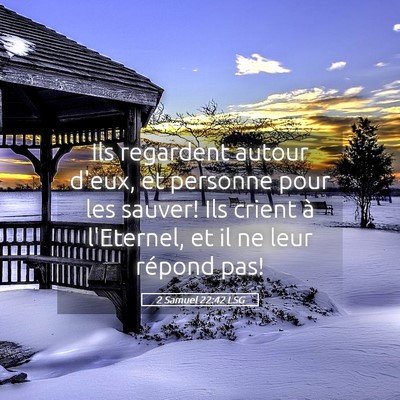 Picture 05 - 2 Samuel 22:42 LSG - Ils regardent autour d'eux, et personne pour les - Bible Verse Picture