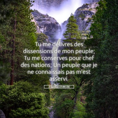 Picture 05 - 2 Samuel 22:44 LSG - Tu me délivres des dissensions de mon peuple; Tu - Bible Verse Picture