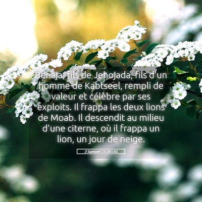 Picture 05 - 2 Samuel 23:20 LSG - Benaja, fils de Jehojada, fils d'un homme de - Bible Verse Picture