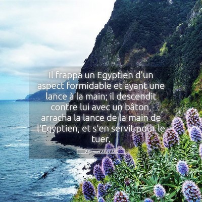 Picture 05 - 2 Samuel 23:21 LSG - Il frappa un Egyptien d'un aspect formidable et - Bible Verse Picture