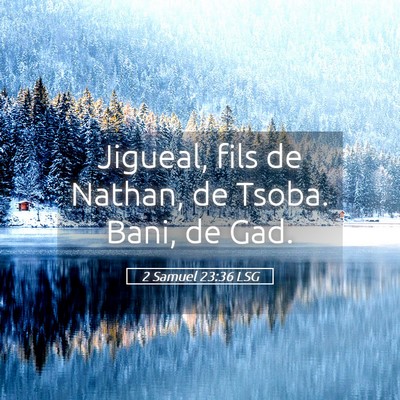 Picture 05 - 2 Samuel 23:36 LSG - Jigueal, fils de Nathan, de Tsoba. Bani, de - Bible Verse Picture