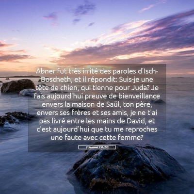 Picture 05 - 2 Samuel 3:8 LSG - Abner fut très irrité des paroles - Bible Verse Picture