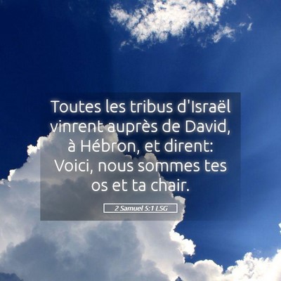 Picture 05 - 2 Samuel 5:1 LSG - Toutes les tribus d'Israël vinrent auprès de - Bible Verse Picture
