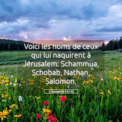 Picture 05 - 2 Samuel 5:14 LSG - Voici les noms de ceux qui lui naquirent à - Bible Verse Picture