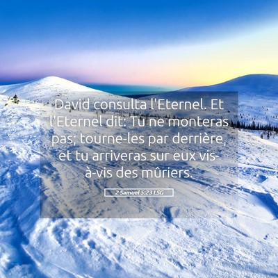 Picture 05 - 2 Samuel 5:23 LSG - David consulta l'Eternel. Et l'Eternel dit: Tu ne - Bible Verse Picture