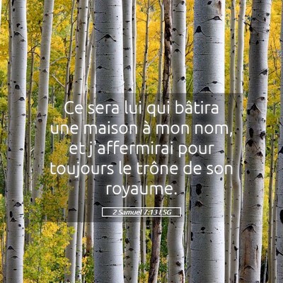 Picture 05 - 2 Samuel 7:13 LSG - Ce sera lui qui bâtira une maison à mon nom, et - Bible Verse Picture