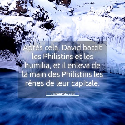 Picture 05 - 2 Samuel 8:1 LSG - Après cela, David battit les Philistins et les - Bible Verse Picture