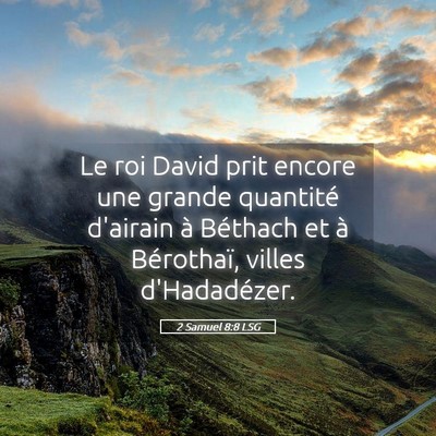 Picture 05 - 2 Samuel 8:8 LSG - Le roi David prit encore une grande quantité - Bible Verse Picture