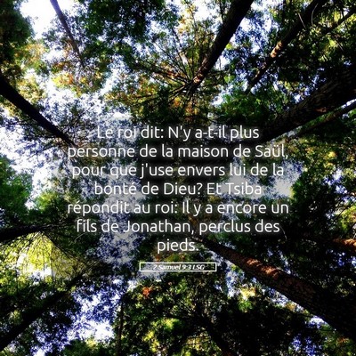 Picture 05 - 2 Samuel 9:3 LSG - Le roi dit: N'y a-t-il plus personne de la maison - Bible Verse Picture