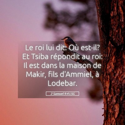 Picture 05 - 2 Samuel 9:4 LSG - Le roi lui dit: Où est-il? Et Tsiba répondit au - Bible Verse Picture
