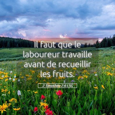 Picture 05 - 2 Timothée 2:6 LSG - Il faut que le laboureur travaille avant de - Bible Verse Picture