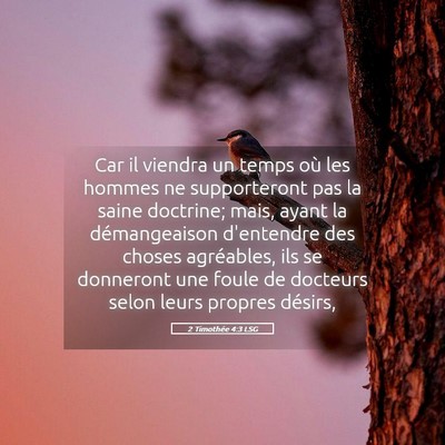 Picture 05 - 2 Timothée 4:3 LSG - Car il viendra un temps où les hommes ne - Bible Verse Picture