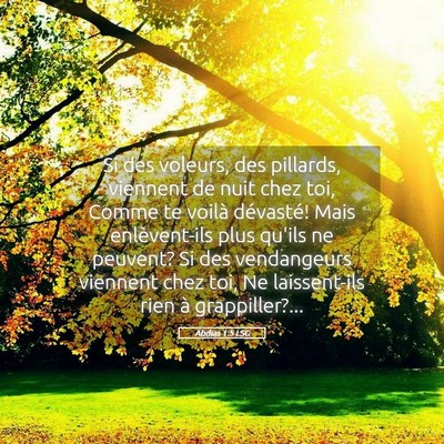 Picture 05 - Abdias 1:5 LSG - Si des voleurs, des pillards, viennent de nuit - Bible Verse Picture