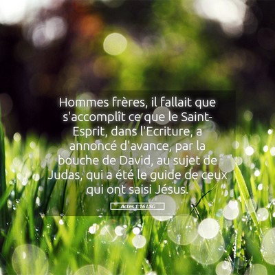 Picture 05 - Actes 1:16 LSG - Hommes frères, il fallait que s'accomplît ce - Bible Verse Picture