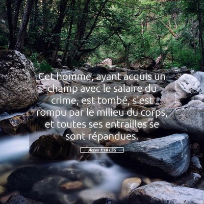 Picture 05 - Actes 1:18 LSG - Cet homme, ayant acquis un champ avec le salaire - Bible Verse Picture