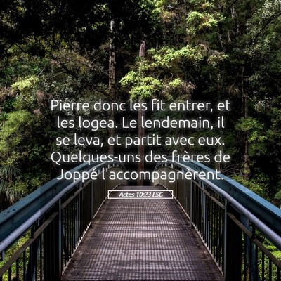 Picture 05 - Actes 10:23 LSG - Pierre donc les fit entrer, et les logea. Le - Bible Verse Picture